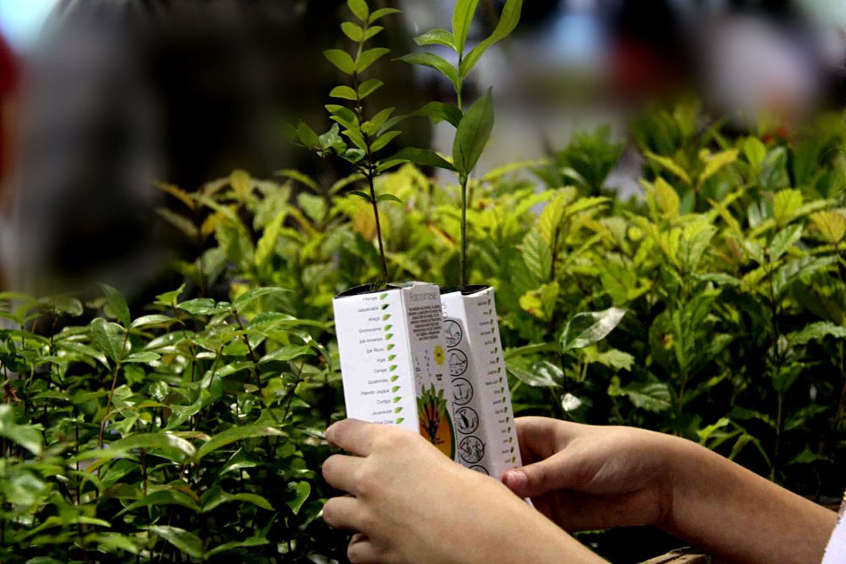 Inicia Campanha de Mudas Frutíferas de 2014