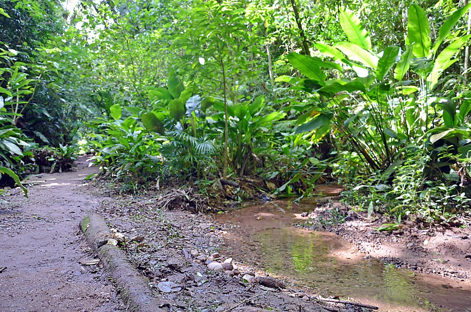 Parque São Francisco de Assis recebe 590 visitantes em agosto 