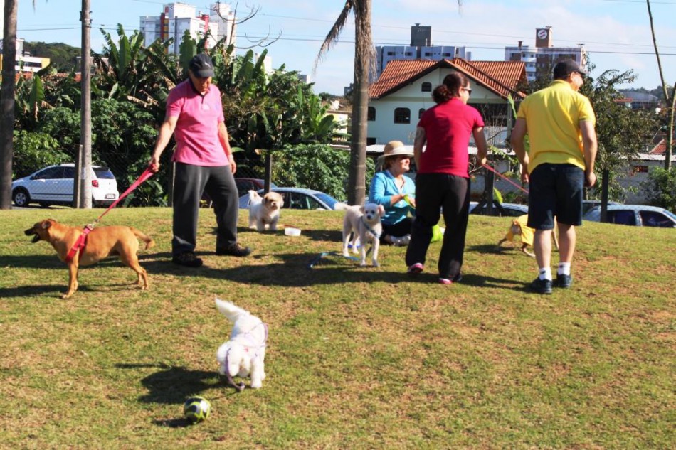 Fim de semana tem Cão no Parque e na Vila em Blumenau