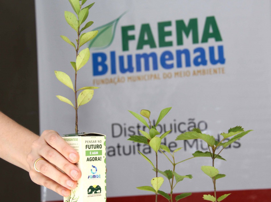 Faema lança calendário do Junho Verde