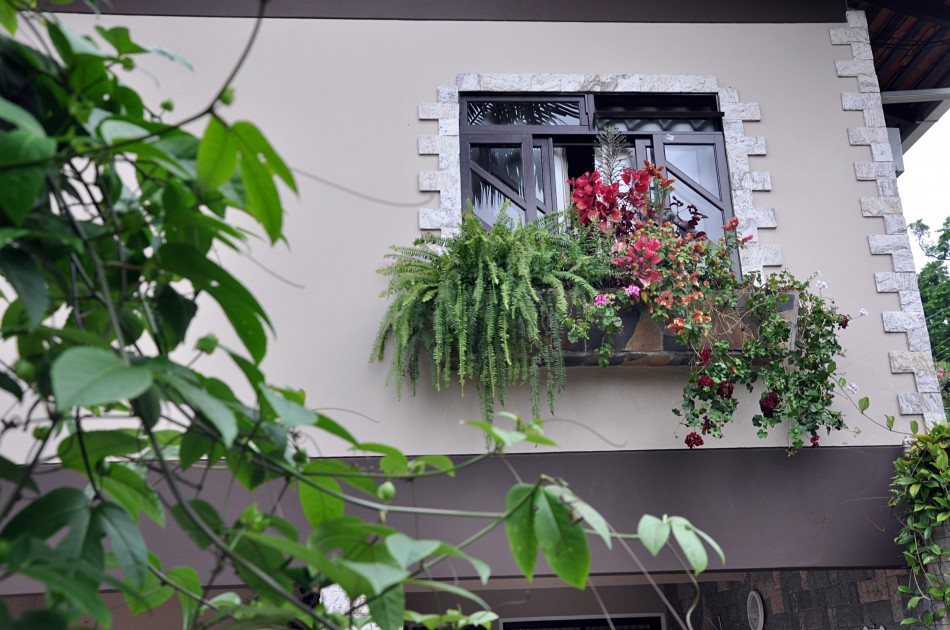 Abertas inscrições para o Concurso de Jardins