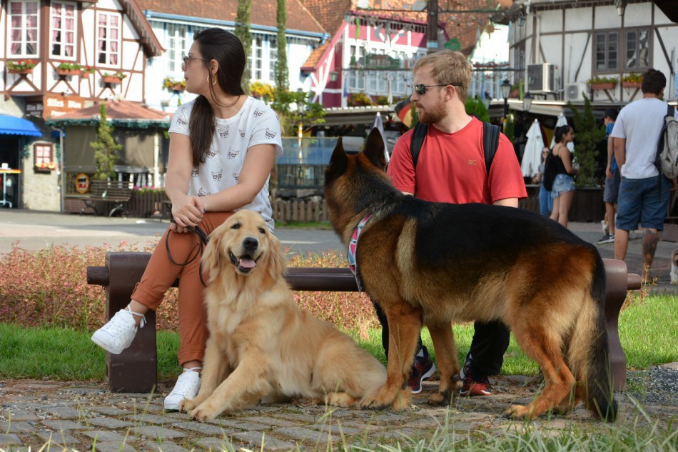 Parque Vila Germânica e Ramiro Ruediger aberto para cães por mais um mês