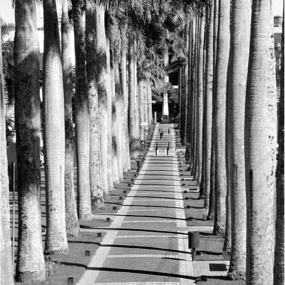 Blumenau registra 501 mortes por Coronavírus