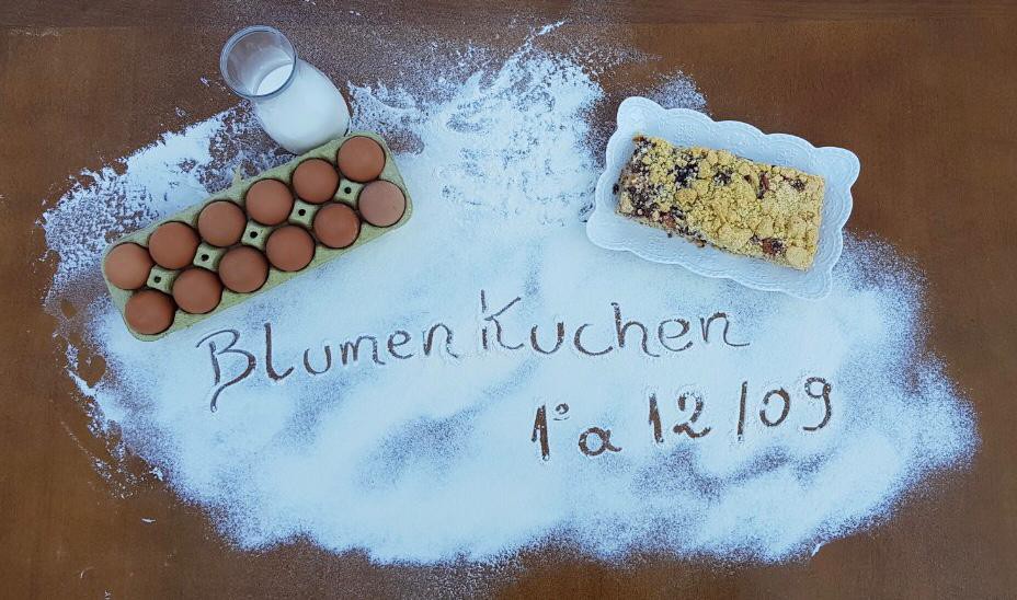 Conheça as confeitarias, padarias e panificadoras do 8º BlumenKuchen, o Festival de Cucas