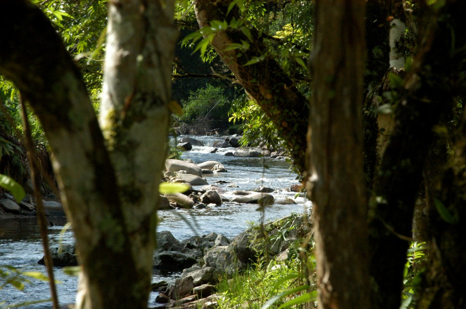 Semmas promove em dezembro audiência pública sobre o código do meio ambiente