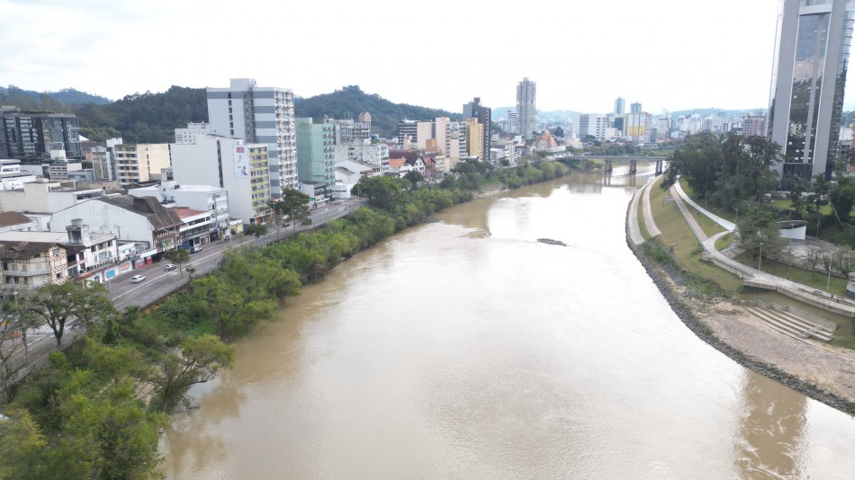 Prefeitura inicia retirada de árvores que oferecem risco na margem direita do Rio Itajaí-Açu